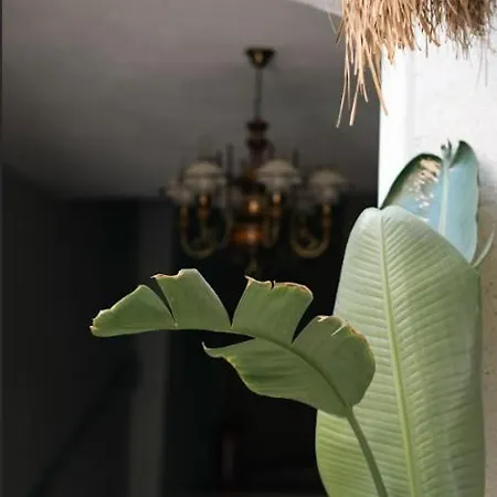 홈스테이 Dbd 알라카티