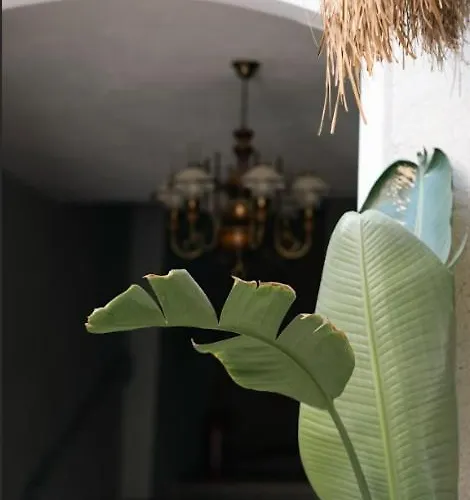 Ubytování v soukromí Dbd Alaçatı